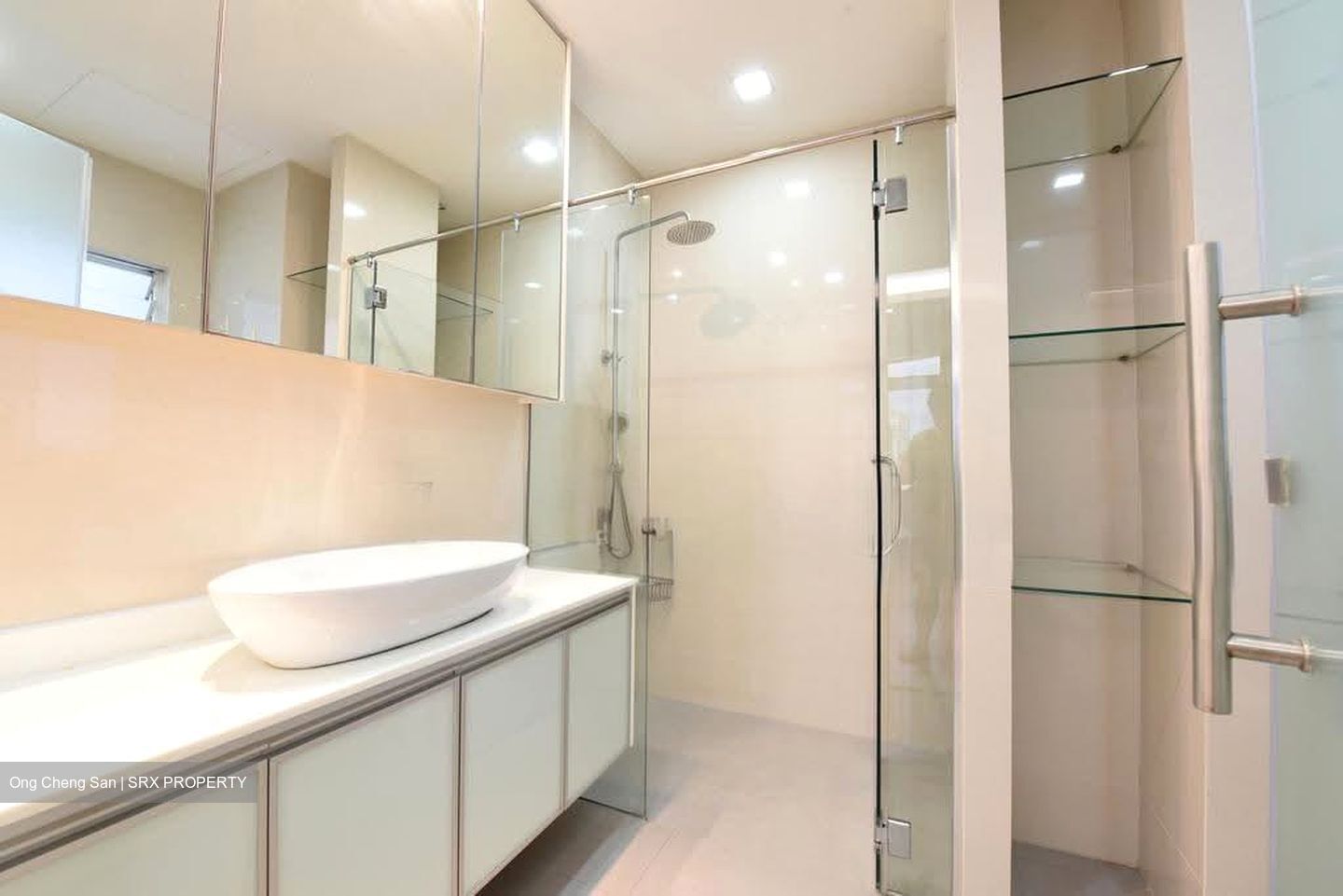 Regency Park (D10), Condominium #632072921